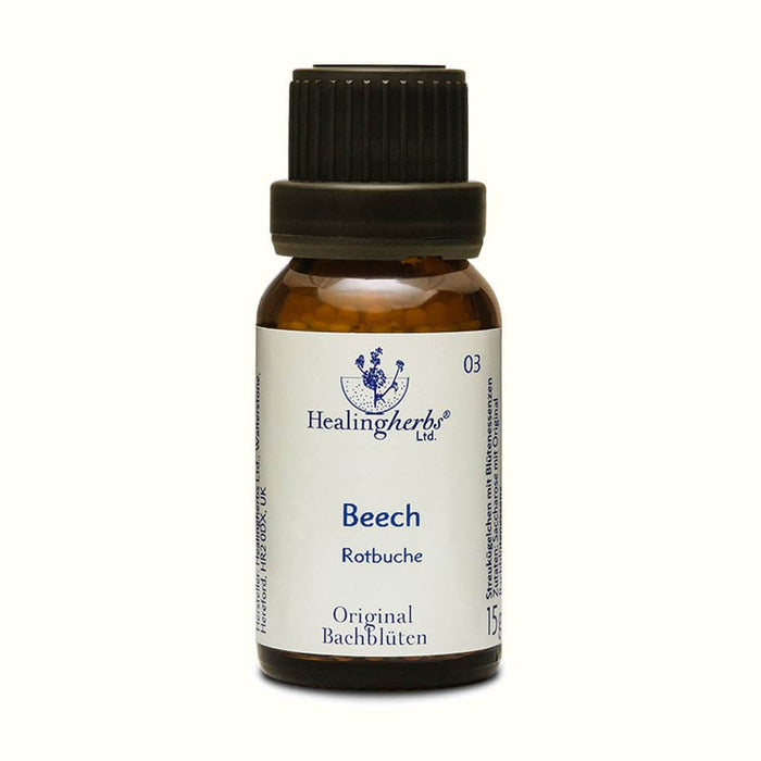 Beech Globuli