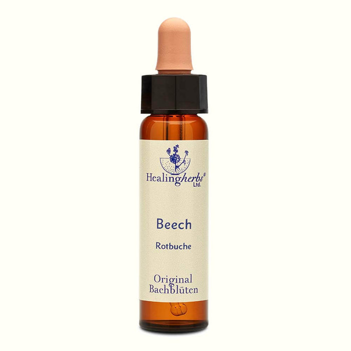 Beech Bachblüten Tropfen