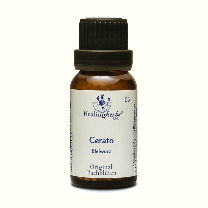 Cerato Globuli