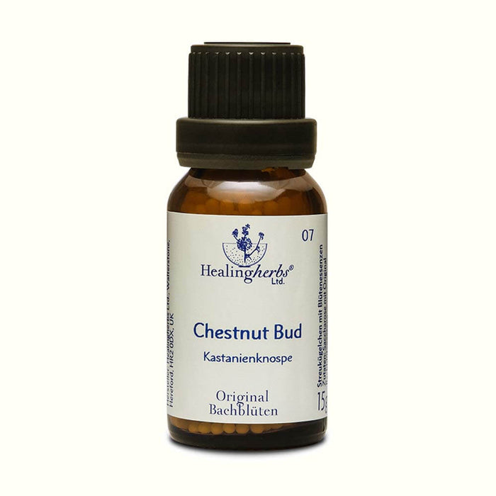 Chestnut Bud Globuli