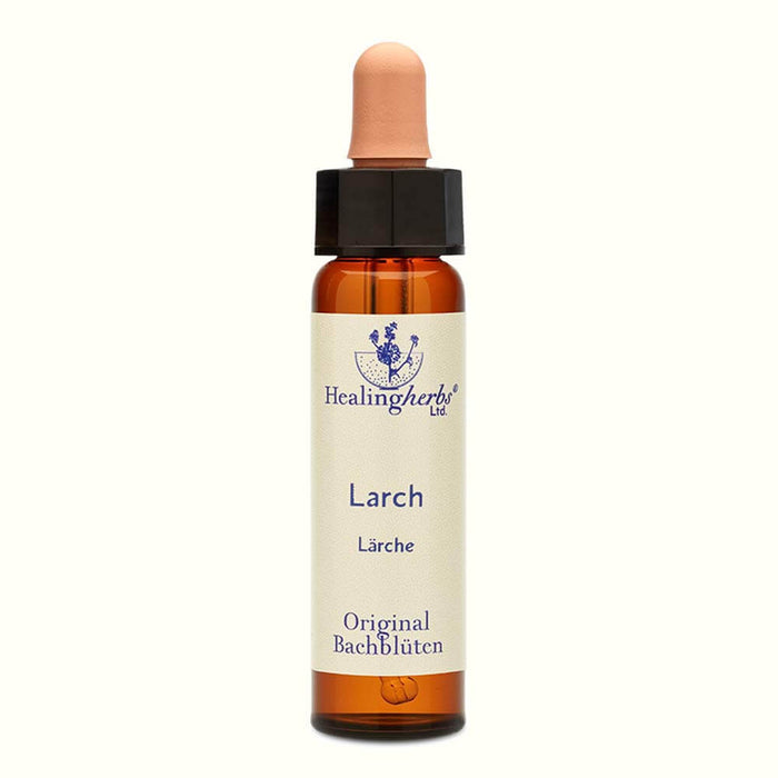 Larch Bachblüten Tropfen