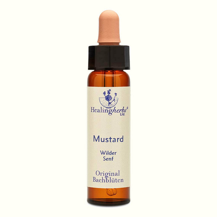 Mustard Bachblüten Tropfen