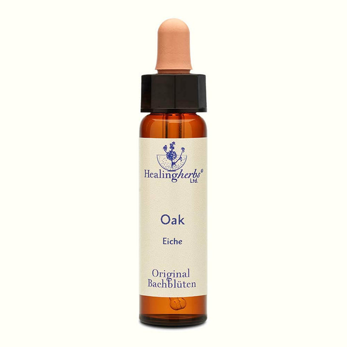Oak Bachblüten Tropfen