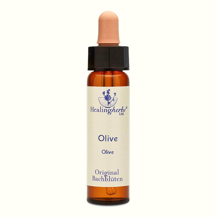 Olive Bachblüten Tropfen