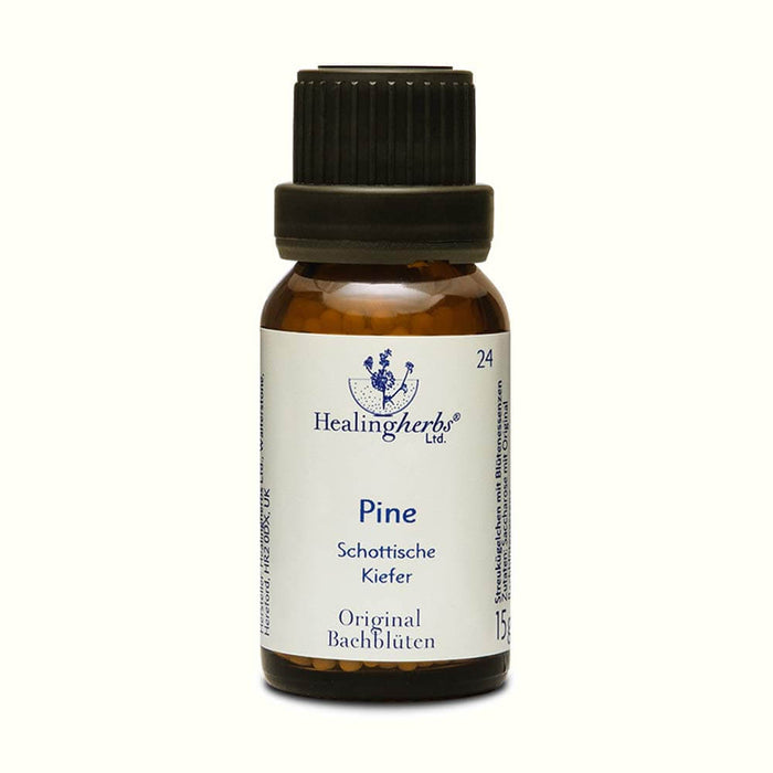 Pine Globuli