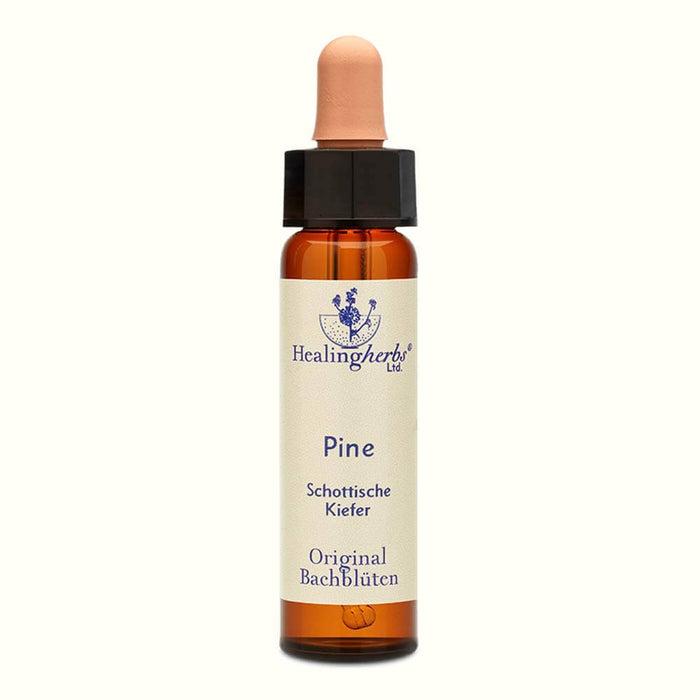 Pine Bachblüten Tropfen