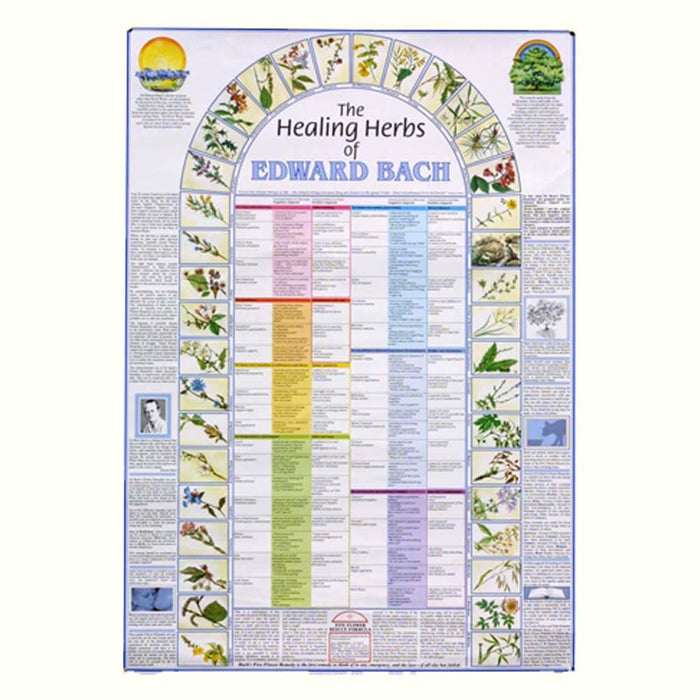 Bachblüten Poster