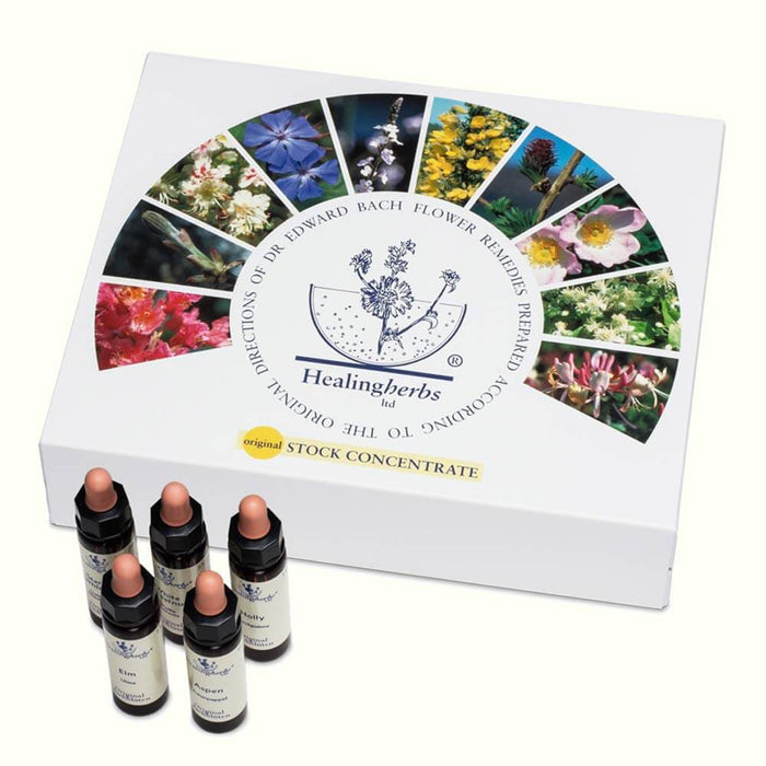 Bachblüten Set 10 ml