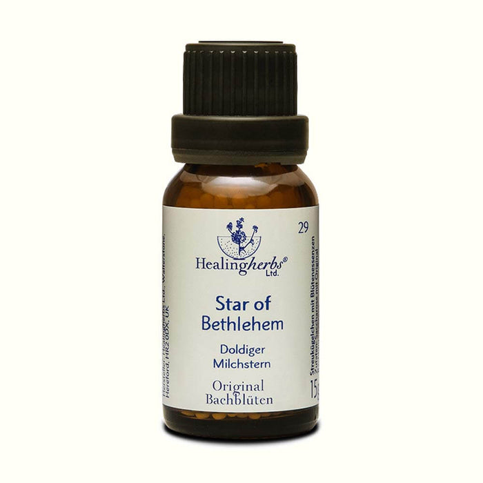 Star of Bethlehem Globuli