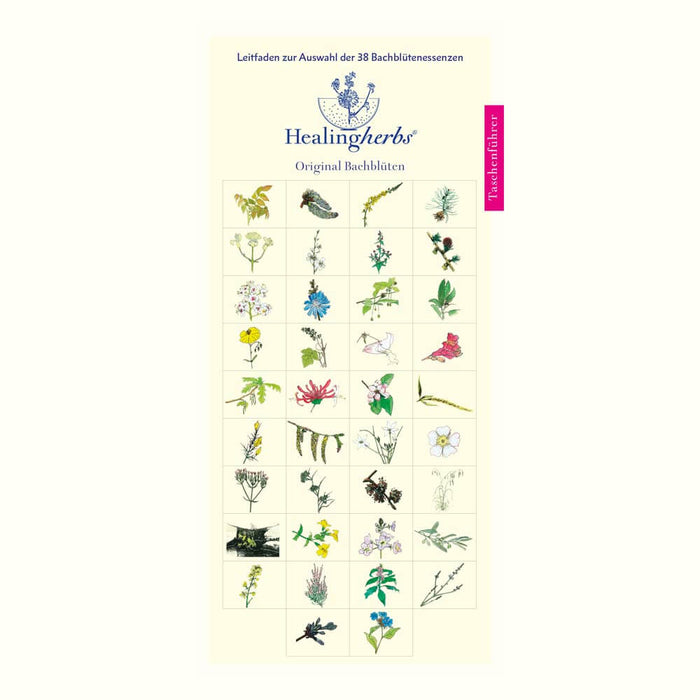 Bachblüten Taschenführer