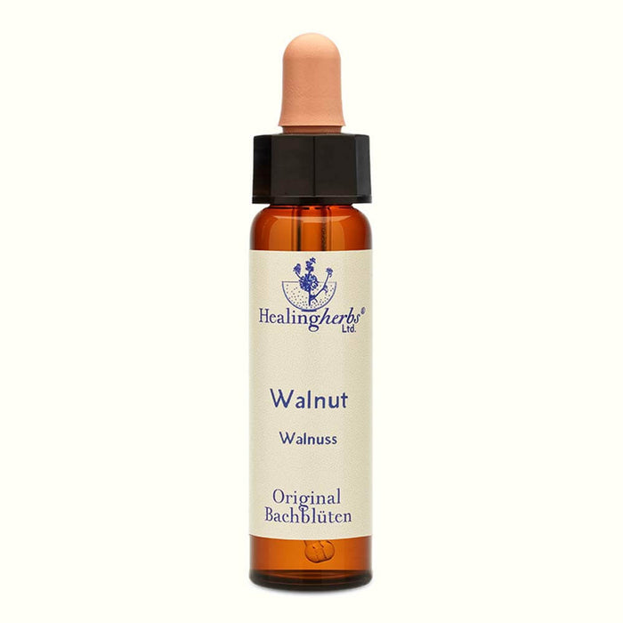 Walnut Bachblüten Tropfen