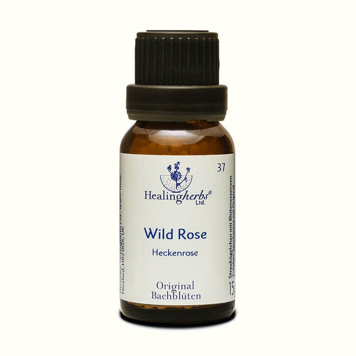 Wild Rose Globuli